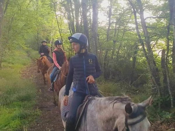 Pony Camps in France 🇨🇵