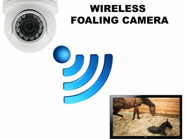 Foaling Camera