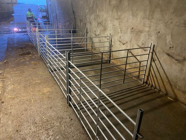 Five and six foot sheep hurdles available