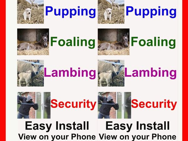 Lambing-Calving-Foaling-Cameras