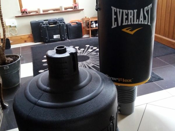 Everlast boxing bag with gloves.