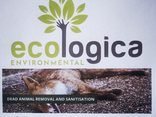 Dead Wildlife (Eg Fox) Carcass Removal | Ecologica
