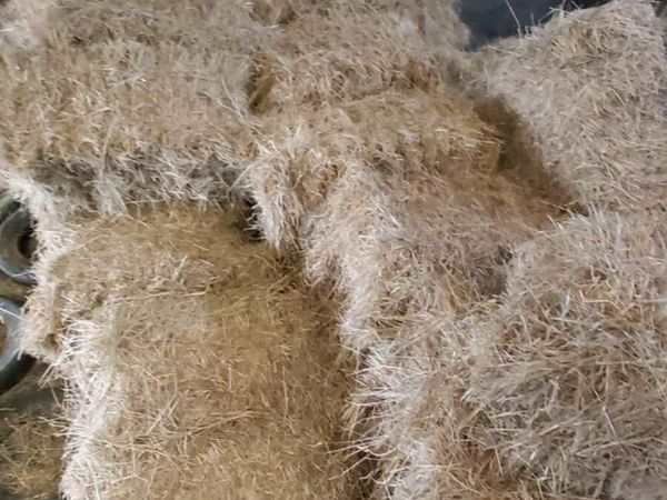 Square bales of hay