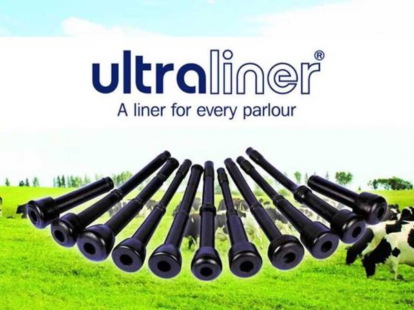 Milk Rite Liners for sale at FDS