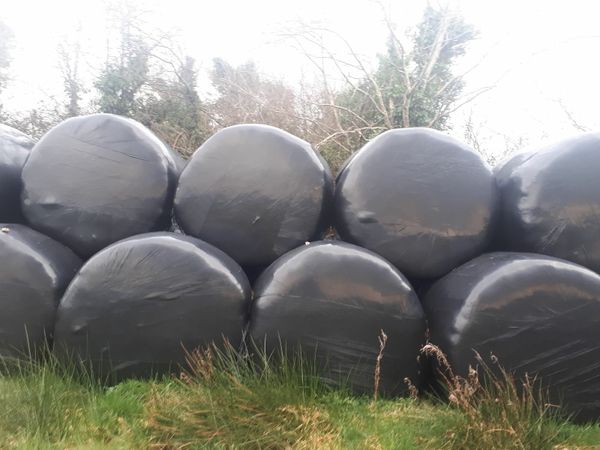 Silage  bales