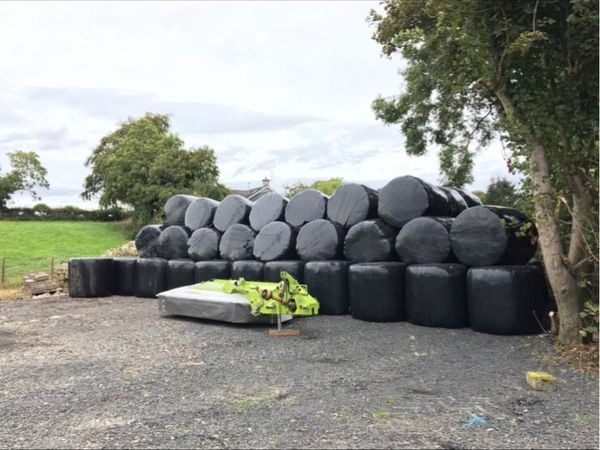 Round bales of silage