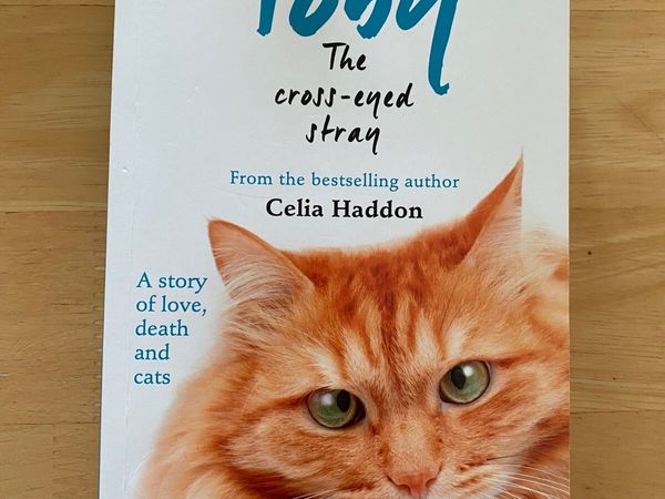 Book for Sale - Toby The Cross - Eyed Stray