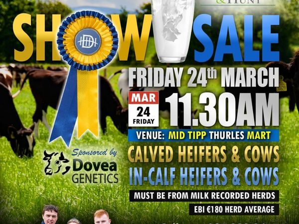 Dairy  show and sale