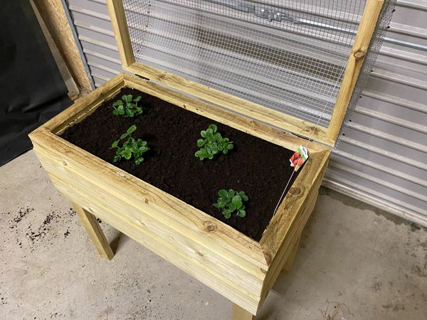 Raised Vegetable Planter