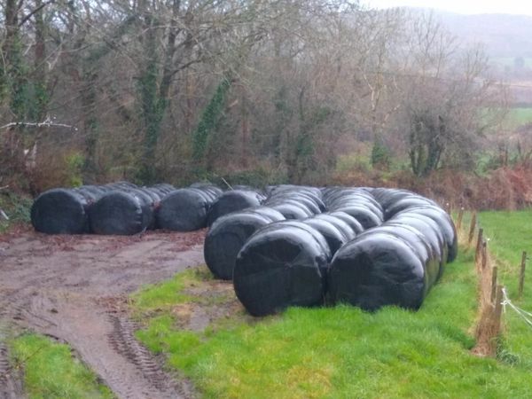 Silage Bales-Ballydehob
