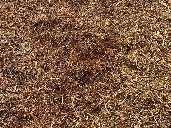 Woodchip for flower beds