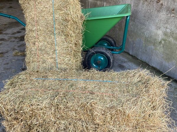 Hay and silage