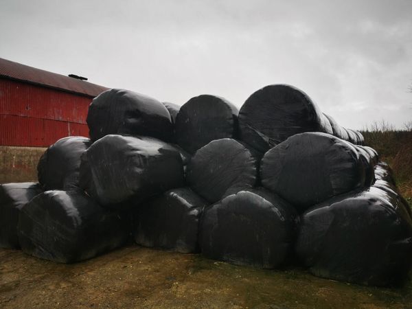 Bales silage