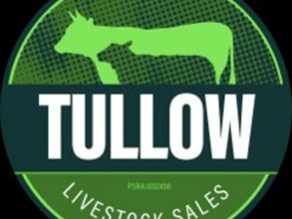 Dairy Sale & Multibreed Bull Sale
