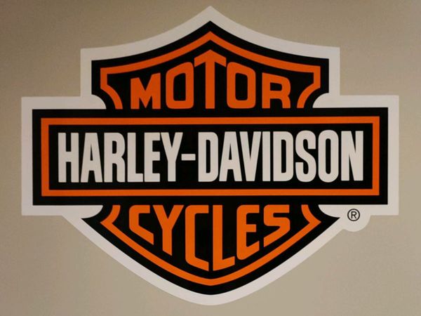 Harley Davidson bike boots new