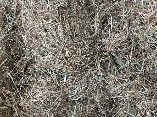 Small bales of green hay for sale