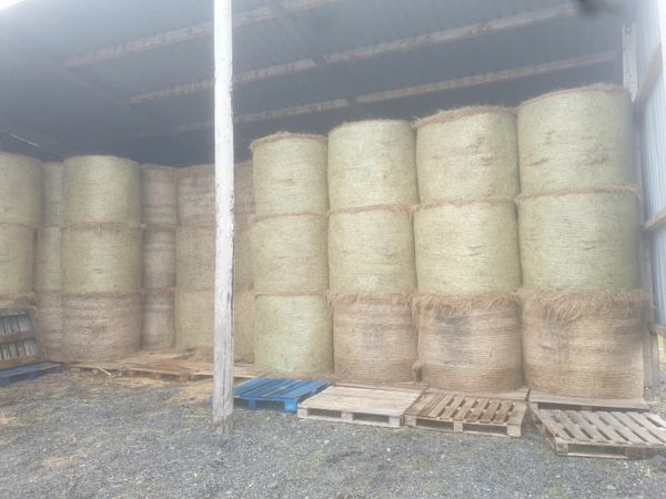 Round and small square bales of hay