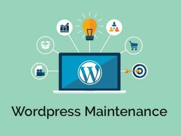 Get WordPress, Shopify, Apps, and WIX Websites in an Affordable Range