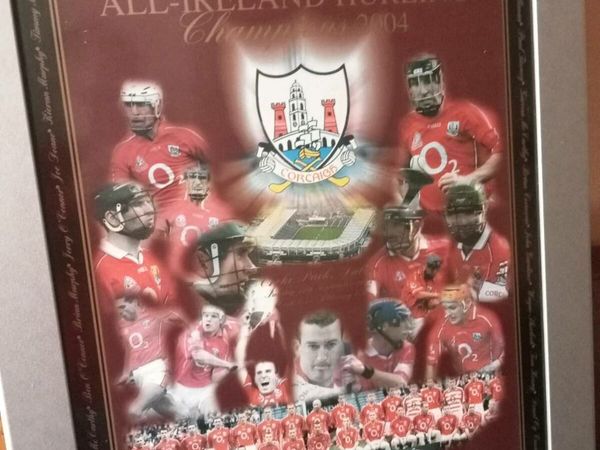 Cork hurling champions 2004