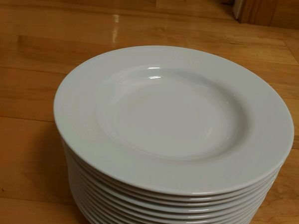 Large Dinner plates