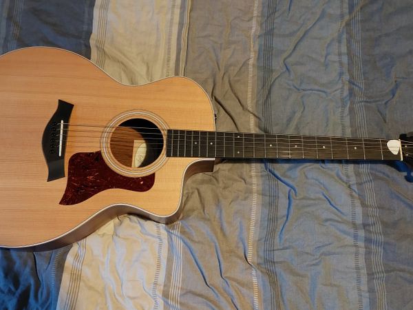 Taylor 214ce Electro-Acoustic Guitar and Case
