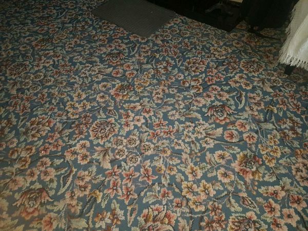 Free Axminster wool carpet and underlay.