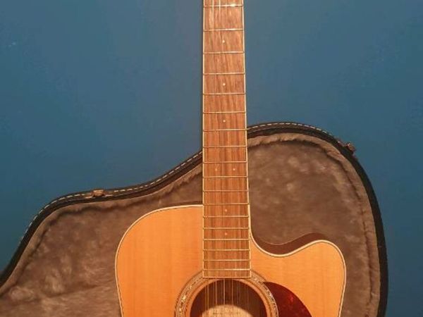 Cort 12 string acoustic