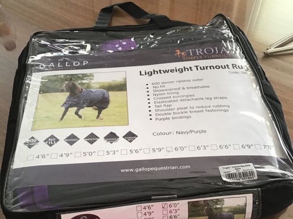 New Trojan TurnoutLightweight rug