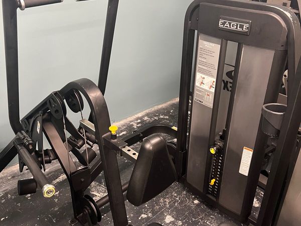 Cybex Eagle incline pull