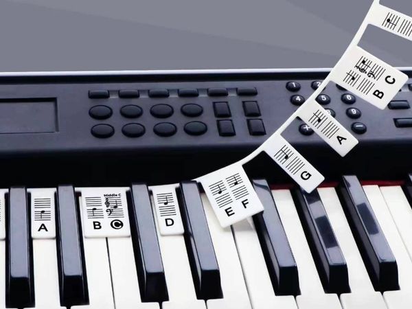Removable Piano Keyboard Note Labels for 88 Key Full Size Silicone Reusable No Need Stickers Notes Label for Beginners and Kids Comes with Box(Black)