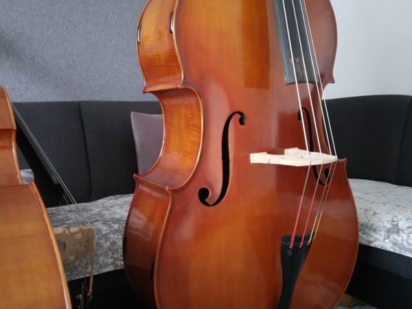 Double bass for sell.
