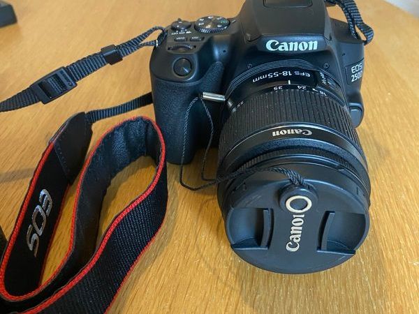 Canon EOS 250D Black Camera with EF-S 18-55mm IS STM Lens