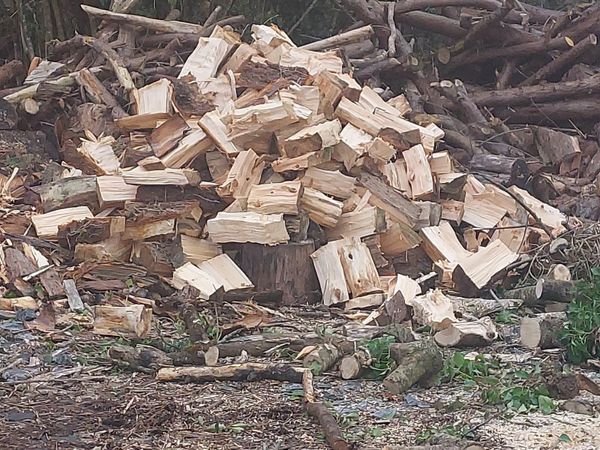firewood rings for sale large amount