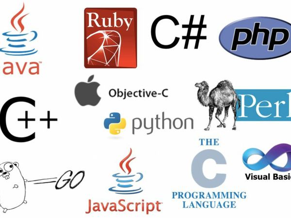 We can code projects in C, Cpp, Java, Python, R, ROR, and Ruby programming