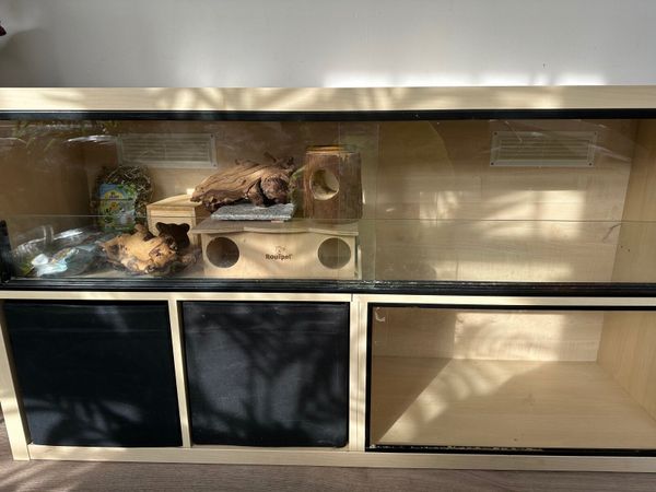 IKEA Kallax Hamster/Gerbil/Mouse Cage
