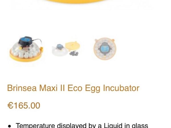 Chicken egg incubator