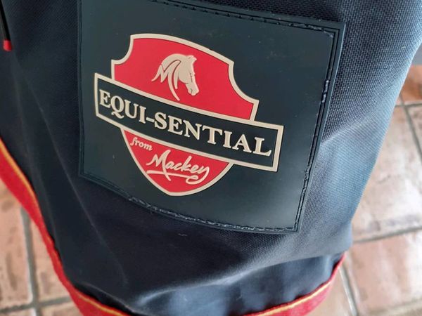 Equisential outdoor rug