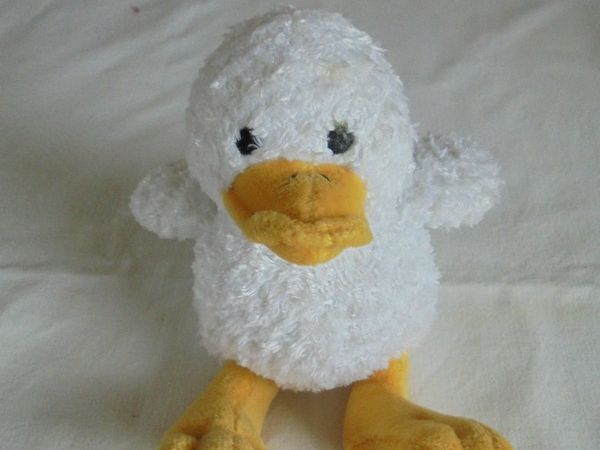 Cuddly Soft Duck for Salex