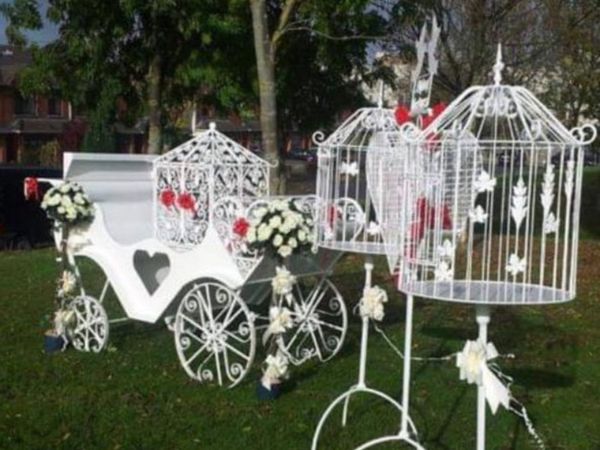 White dove release wedding business