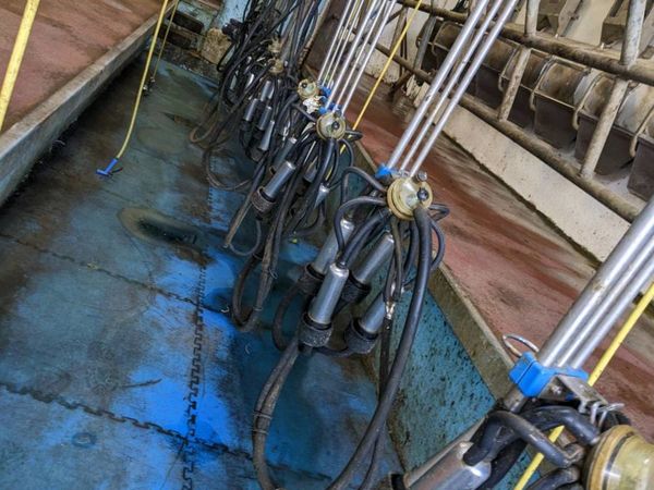 Milking Parlours Ads For Sale in Ireland | DoneDeal
