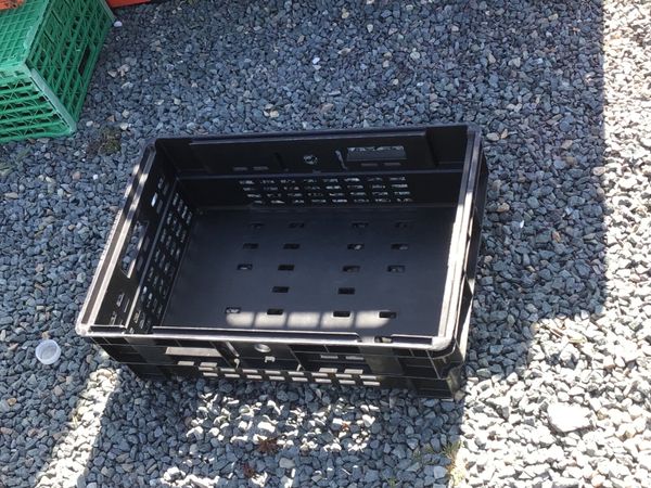 Plastic Trays Crates