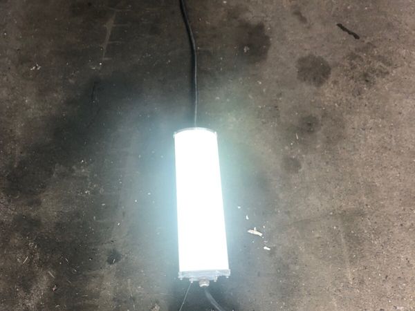 LED Temporary Light Fittings