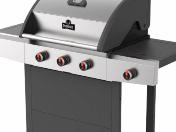 New bbq and pizza oven
