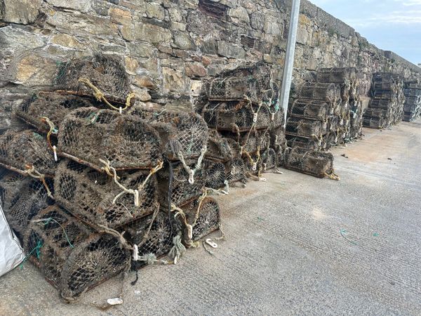 Lobster pots and bags of rope