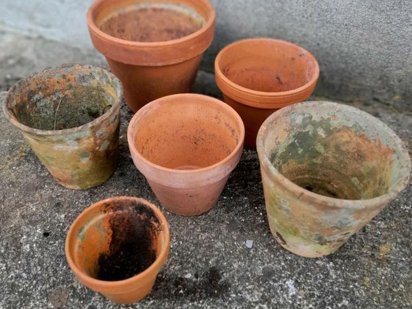 Selection of small terracotta  plant pots