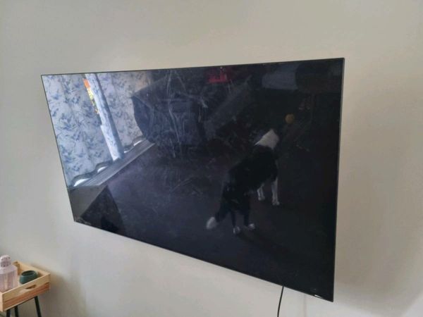 LG OLED55" TV
