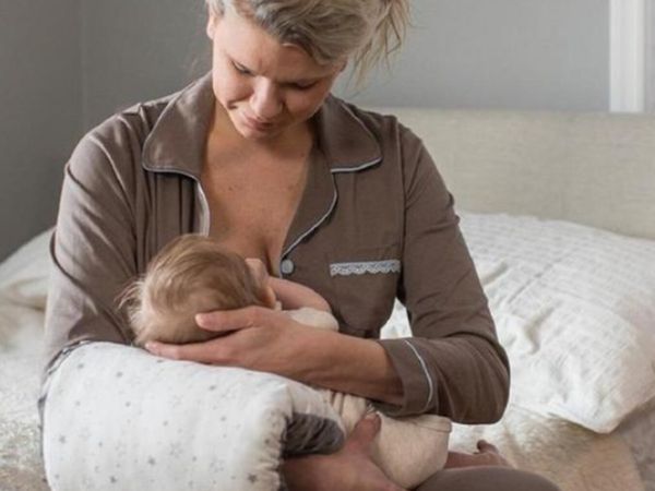 Lansinoh Breastfeeding Pillow