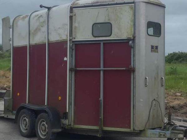 Horse box trailer wanted