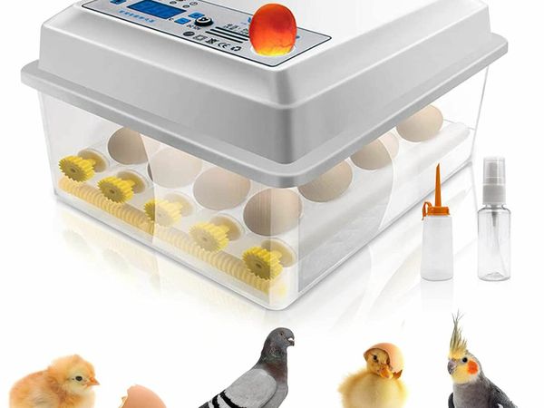 Incubator fully automatic egg incubator 16 eggs di