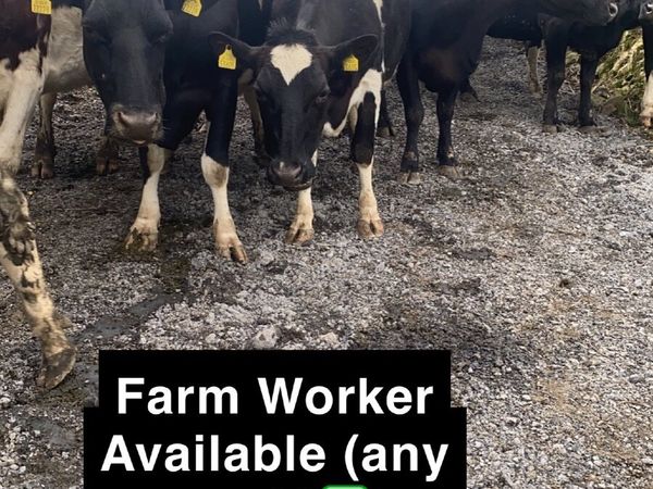 Farm worker available